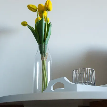 Apartmán Haus Jan Am 204 *